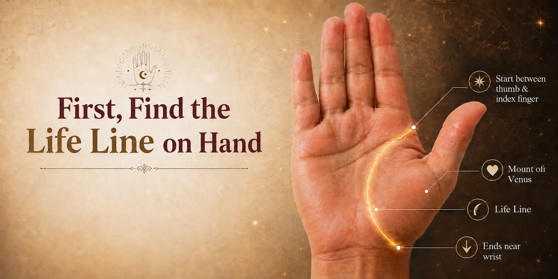 First, Find the Life Line on Hand