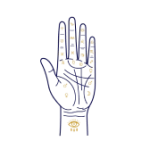 Palmistry Course