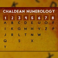 numerology course